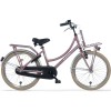 Alpina Cargo Transportfiets 20 inch Meisjes Wood Rose Mat