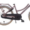 Alpina Cargo Transportfiets 20 inch Meisjes Wood Rose Mat