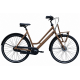 https://bike.nl/image/cache/catalog/images/Fietsen/BSP/BSP-Desert-Glow-Zwarte-Spatborden-80x80.png
