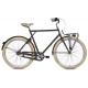 https://bike.nl/image/cache/catalog/images/Fietsen/BSP/GAEV%20heren%20Dark%20Oak_1377-80x80.jpg