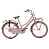 Nogan Cargo Transportfiets 24 inch Meisjesfiets Mat Roze