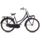 https://bike.nl/image/cache/catalog/images/Fietsen/Nogan%20Cargo/V26-ASTEROID-BLACK-1-80x80.jpg