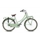 https://bike.nl/image/cache/catalog/images/Fietsen/Nogan%20Cargo/V26N3-PASTEL-GREEN-1-80x80.jpg