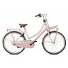 Popal Daily Dutch Basic+ N3 Transportfiets 26 inch Meisjes Zalm Roze