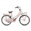 Popal Daily Dutch Basic+ N3 Transportfiets 22 inch Meisjes Zalm Roze