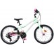 https://bike.nl/image/cache/catalog/product/6a4ba01d51acb_1-80x80.jpg