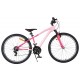 https://bike.nl/image/cache/catalog/product/6a4ba5f760d2c_1-80x80.jpg